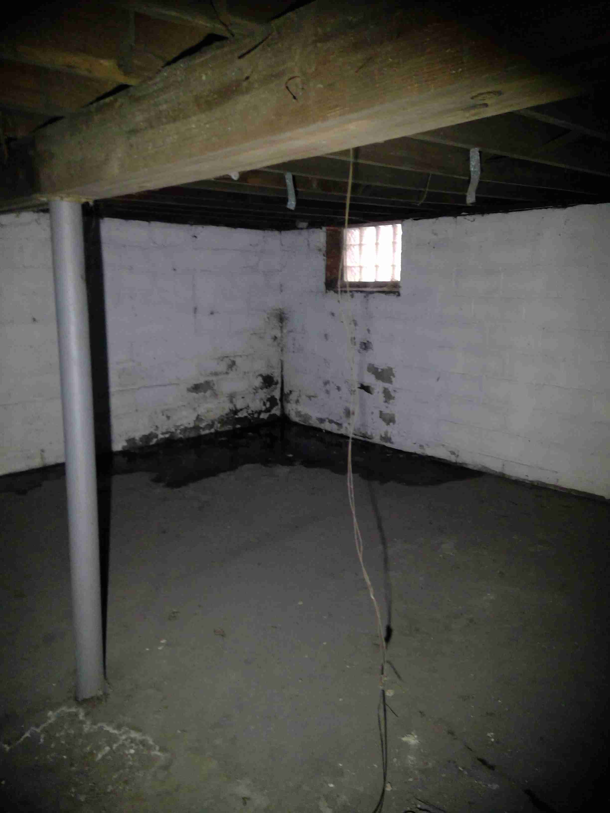 WIN_20220202_12_49_48_Pro (2).jpg